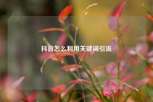 抖音怎么利用关键词引流