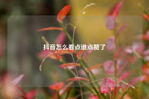 抖音怎么看点谁点赞了