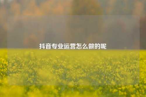 抖音专业运营怎么做的呢