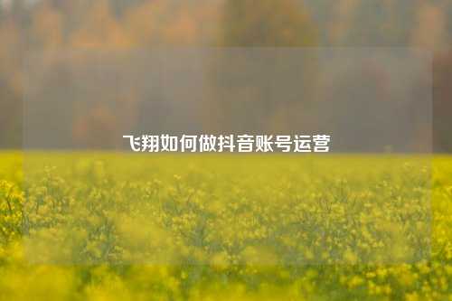 飞翔如何做抖音账号运营