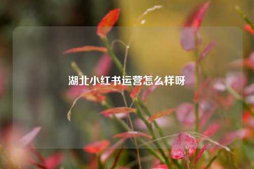 湖北小红书运营怎么样呀