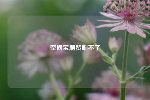 空间宝刷赞刷不了