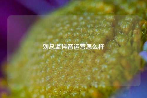刘总监抖音运营怎么样