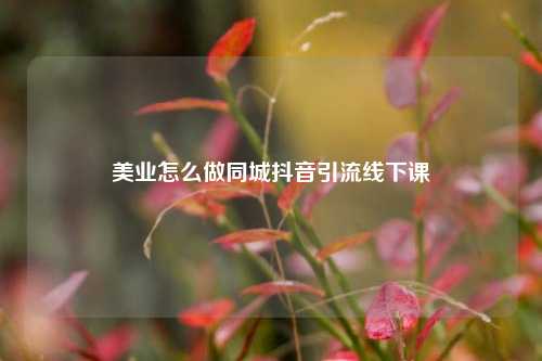美业怎么做同城抖音引流线下课
