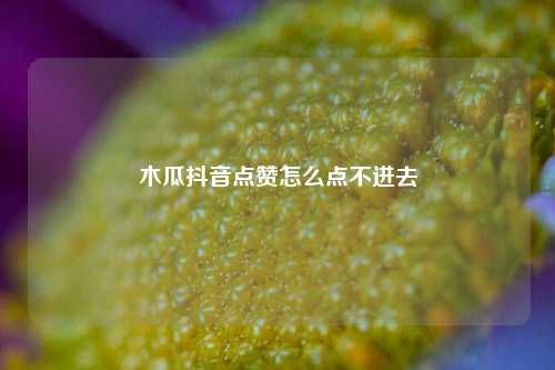 木瓜抖音点赞怎么点不进去