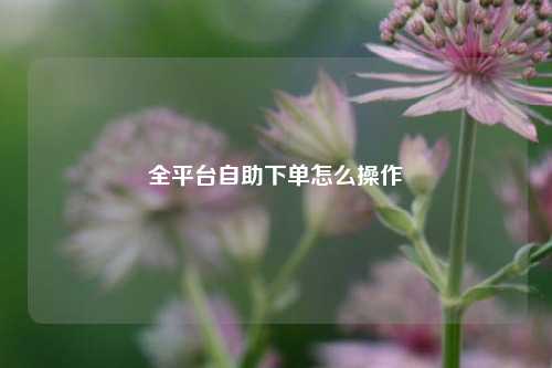 全平台自助下单怎么操作