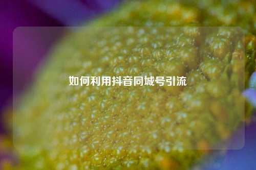 如何利用抖音同城号引流