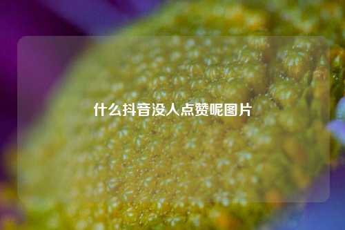 什么抖音没人点赞呢图片