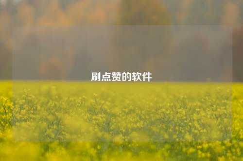 刷点赞的软件
