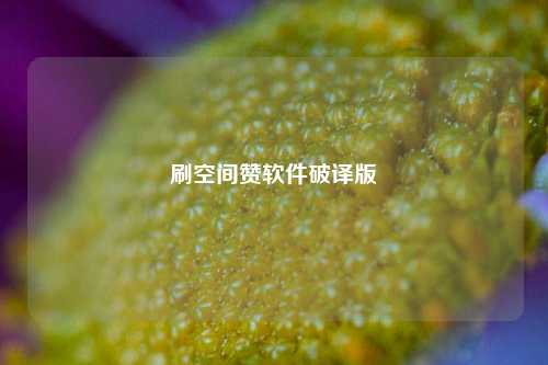 刷空间赞软件破译版