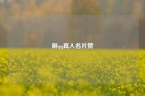 刷qq真人名片赞