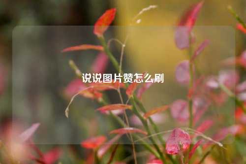 说说图片赞怎么刷