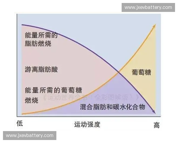 耐力测验柱在体育训练中的应用与影响分析 耐力测验柱在体育训练中的应用与影响分析