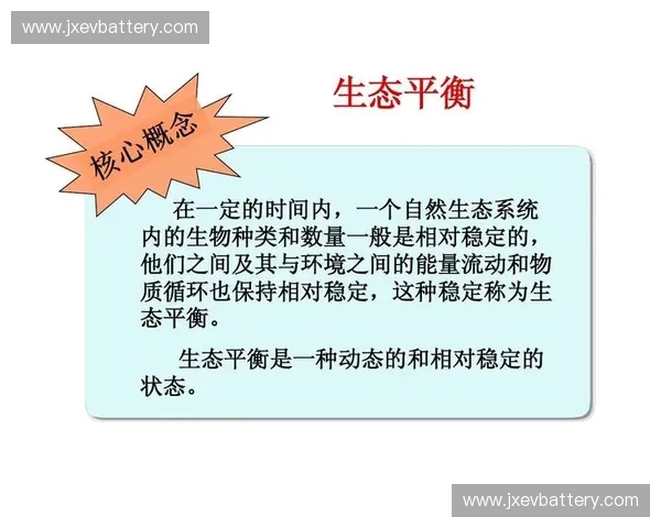 沉底平衡理论在复杂系统中的应用与实践探讨