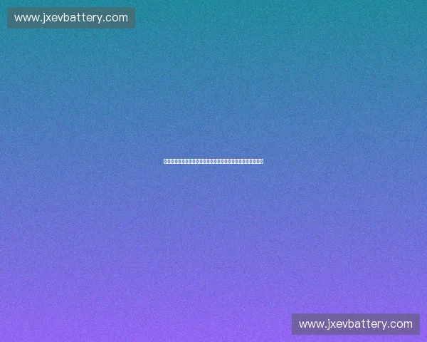 以体育品牌管理为核心的数字化转型与全球化营销战略创新研究 以体育品牌管理为核心的数字化转型与全球化营销战略创新研究